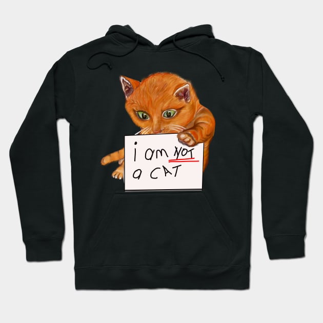 I am not a cat, I am here live I am not a cat - cat filter meme Hoodie by Artonmytee